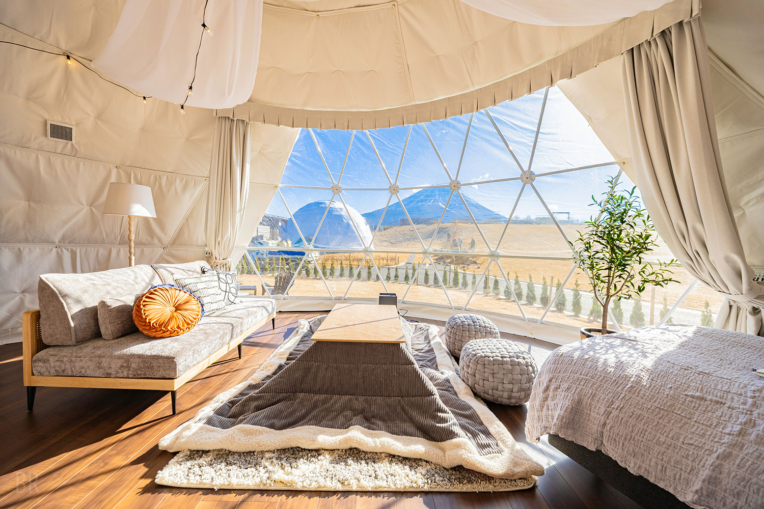 デラックスドーム