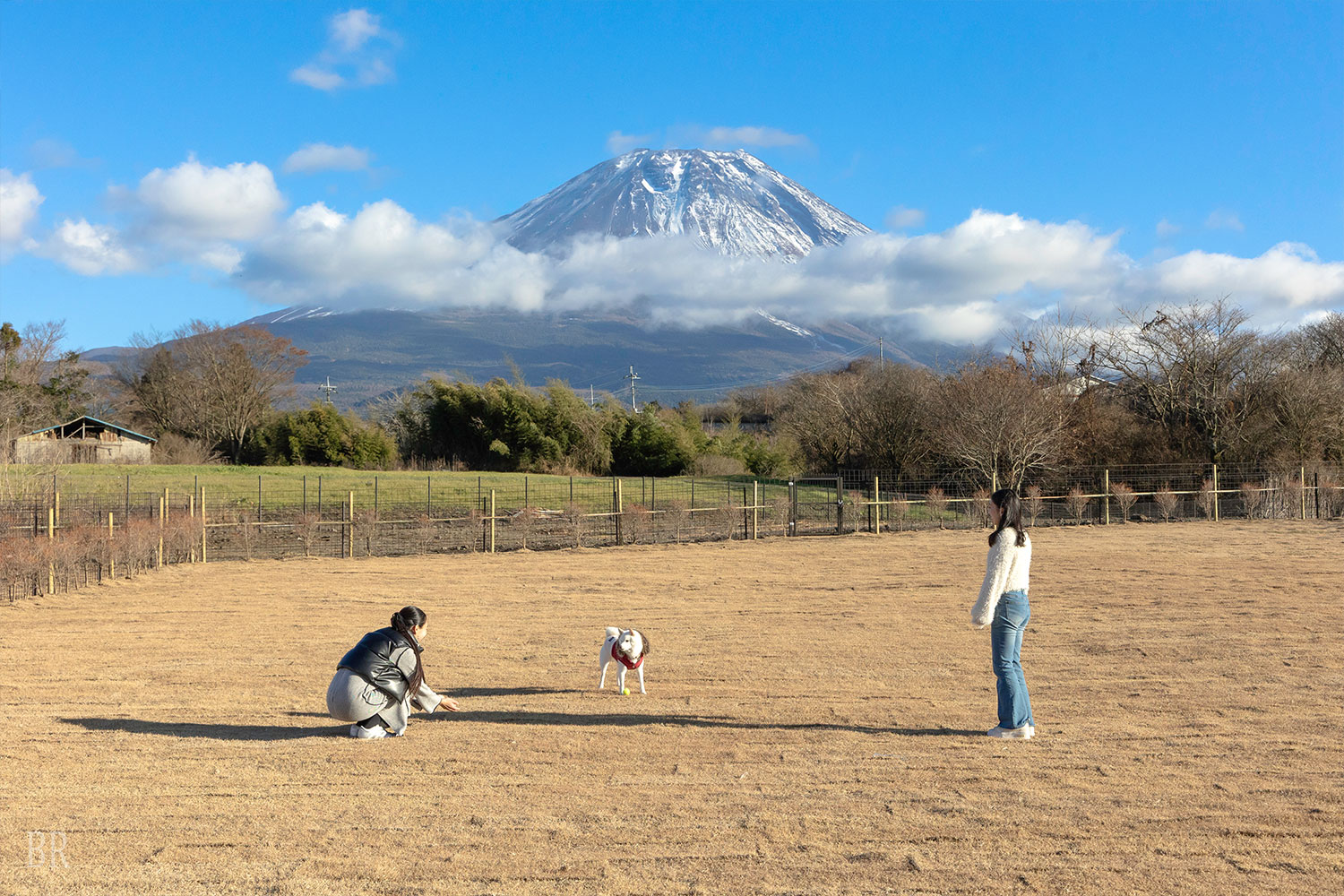 ドッグキャビン