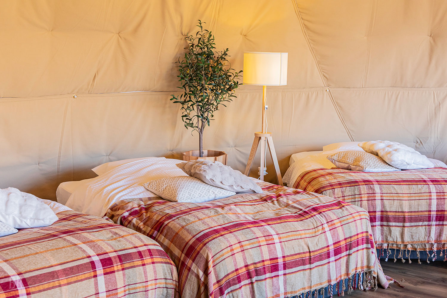 ラグジュアリードーム