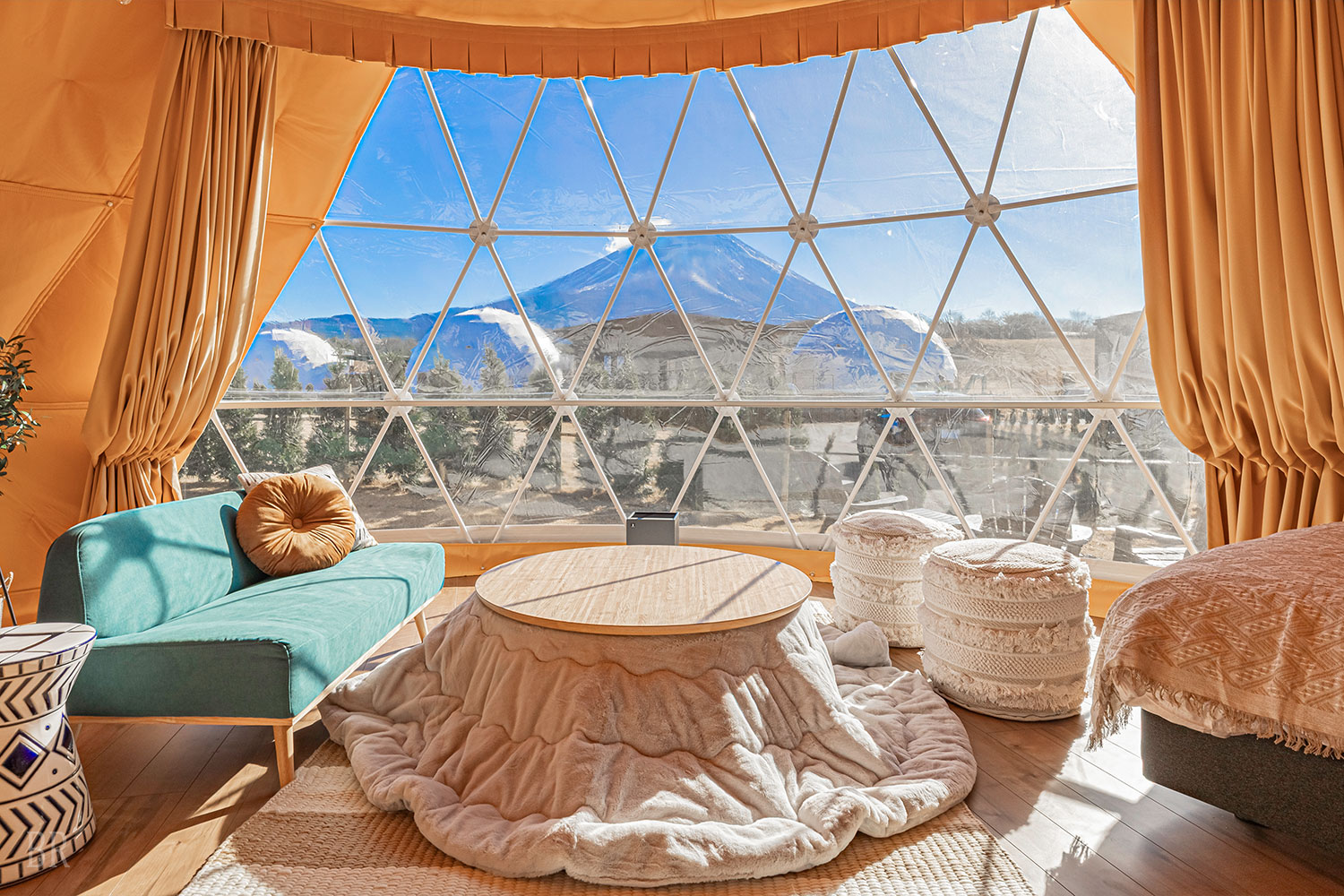 スタンダードドーム