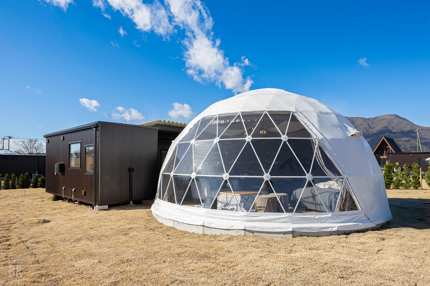 スタンダードドーム