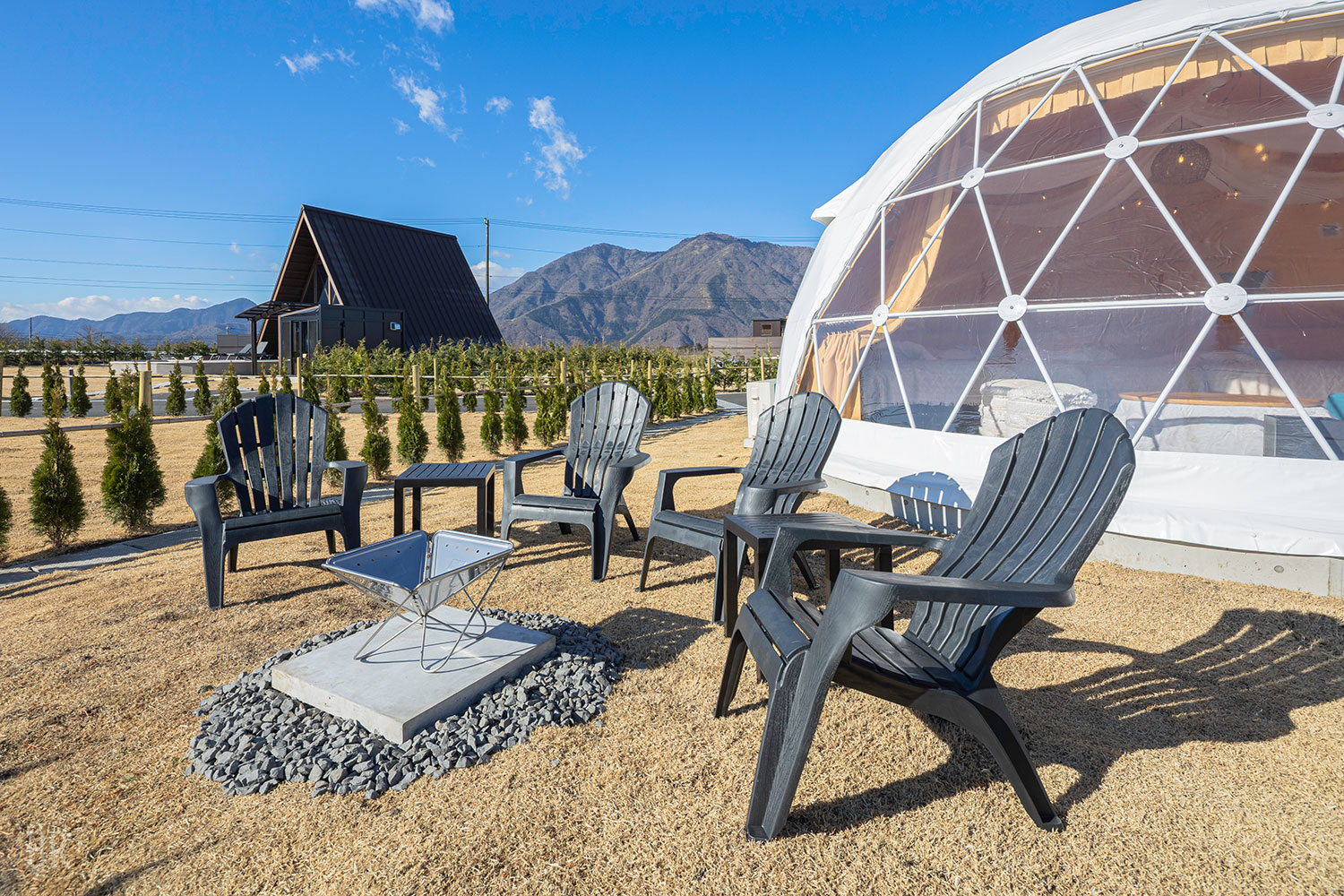 スタンダードドーム