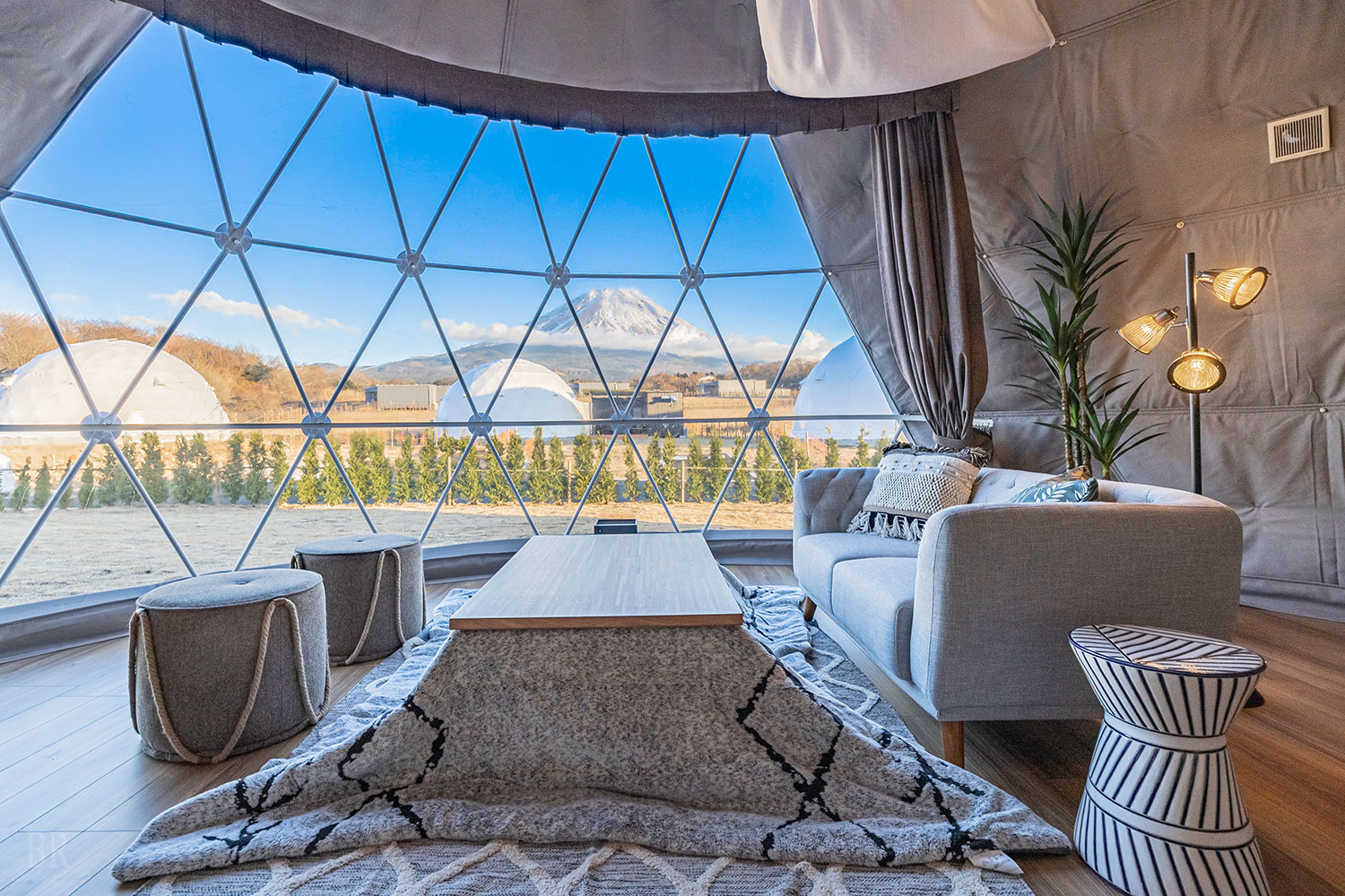 スタンダードドーム